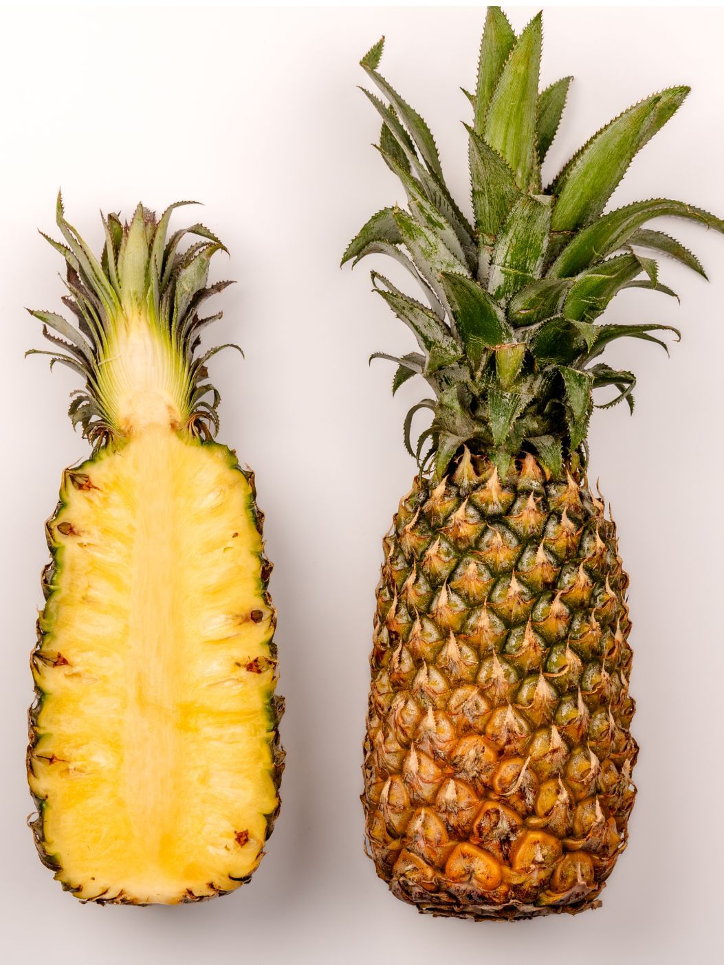 Pineappleimg 2