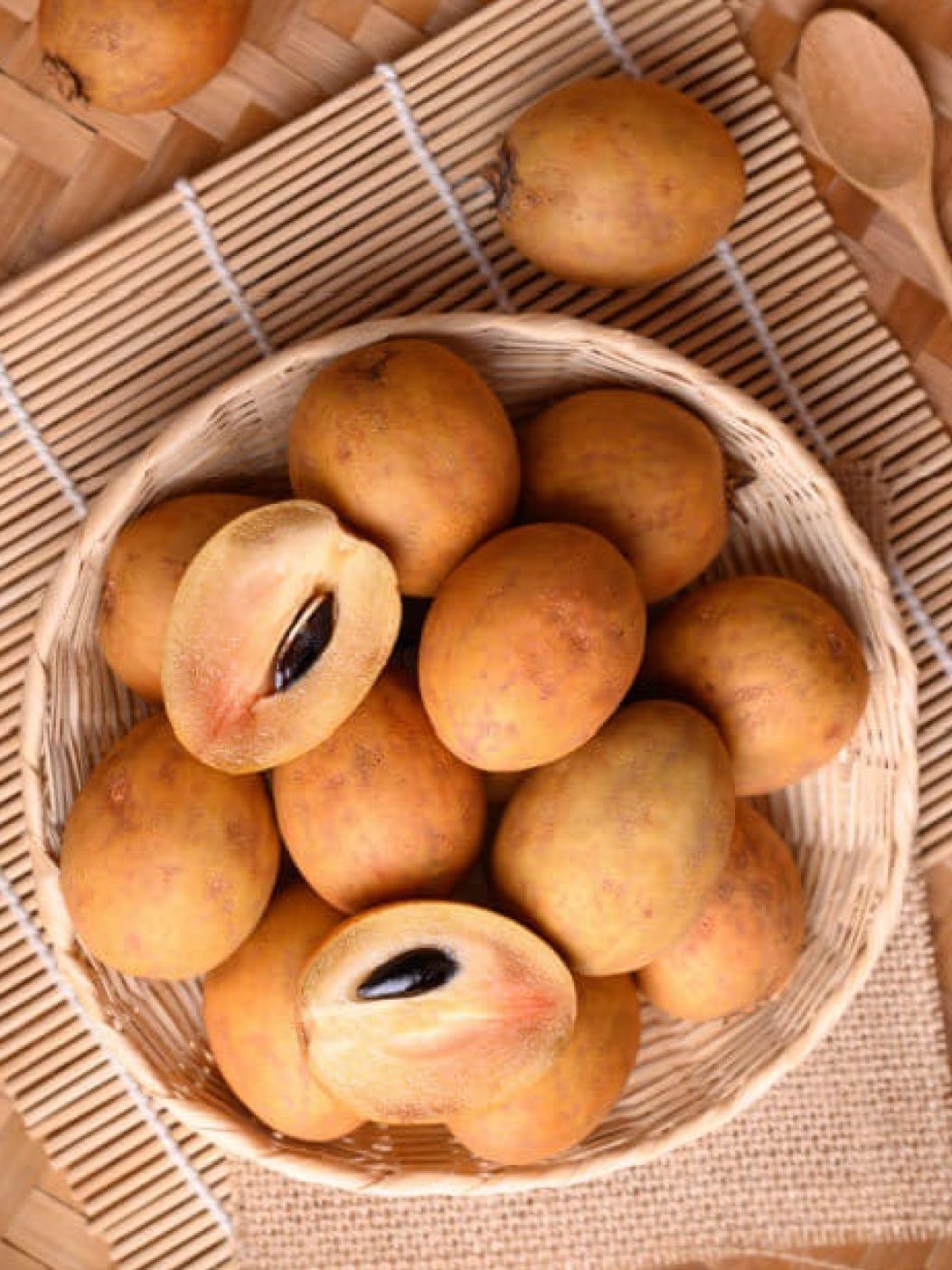 Sapota [Chikoo]img 1
