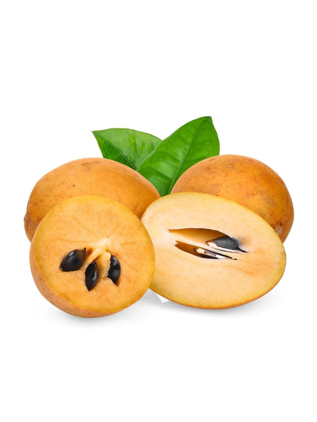 Sapota [Chikoo]img 3