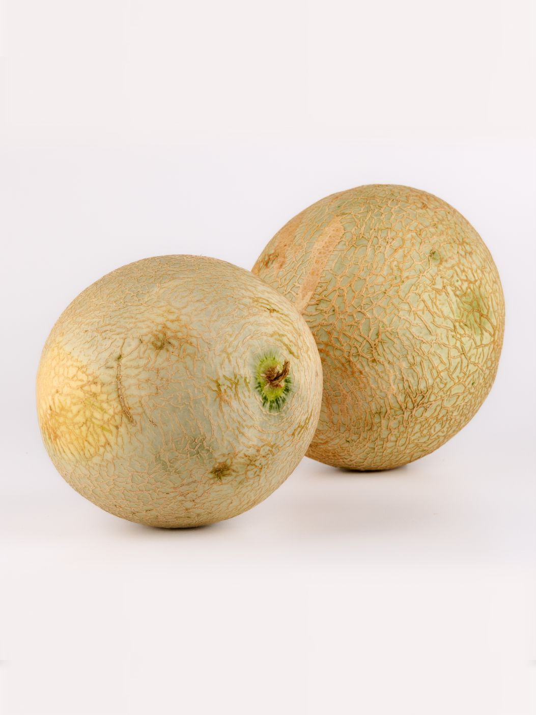 Muskmelonimg 3