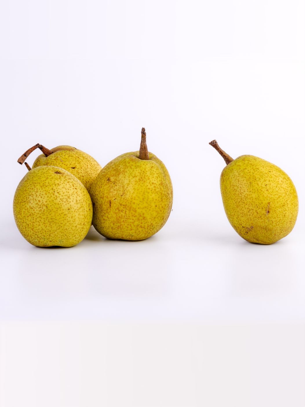 Pear Indianimg 4