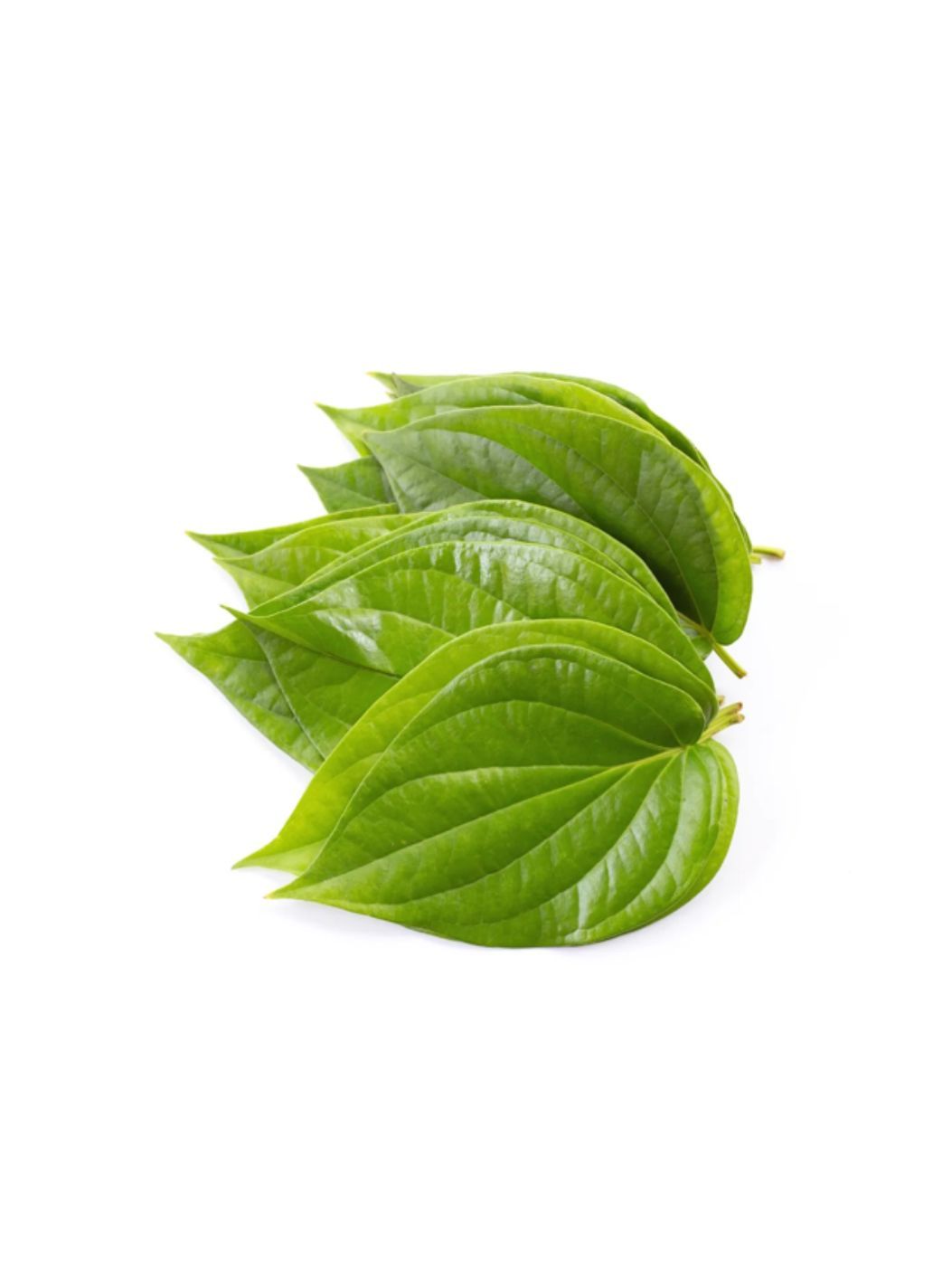 Betel Leavesimg 1