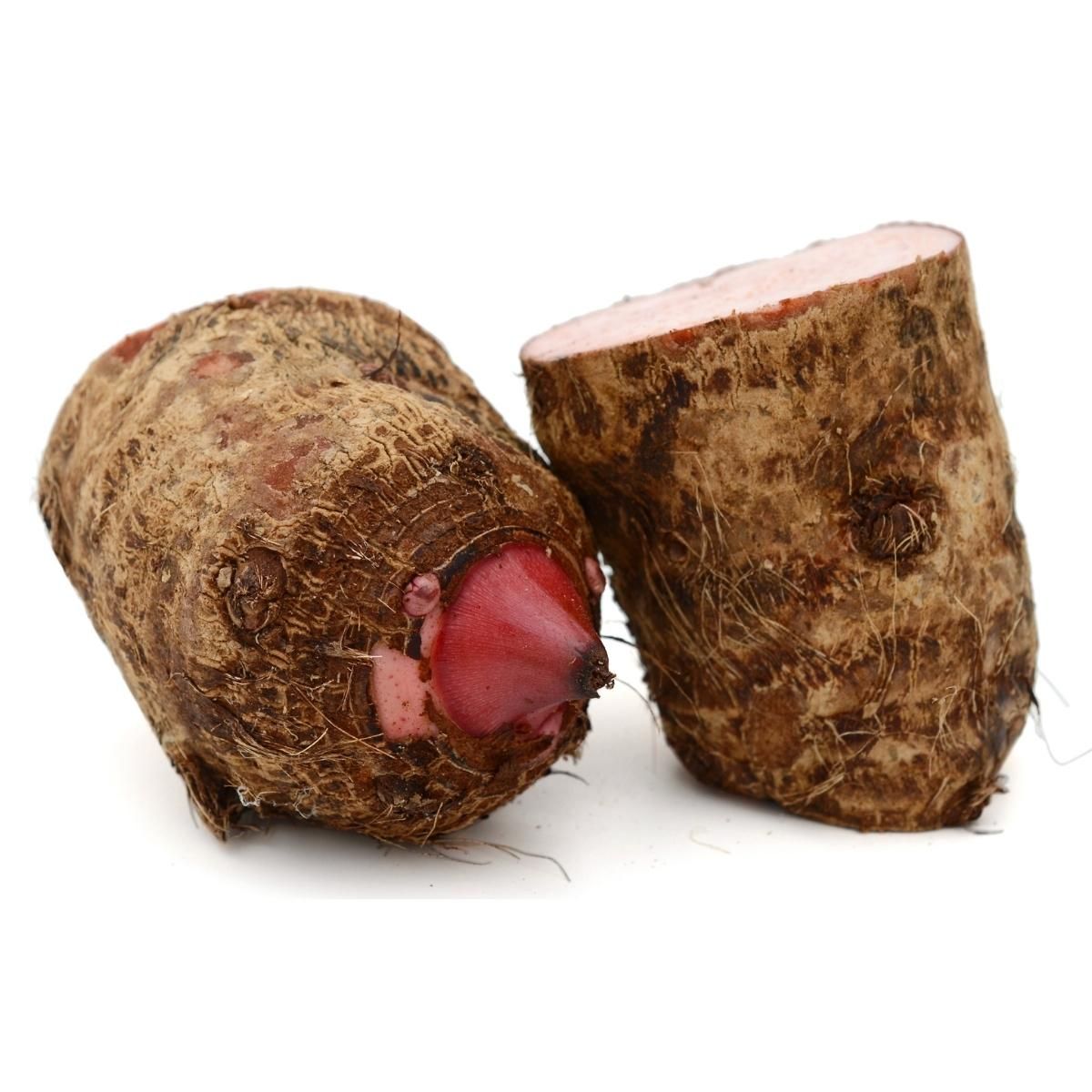 colocasia.jpg