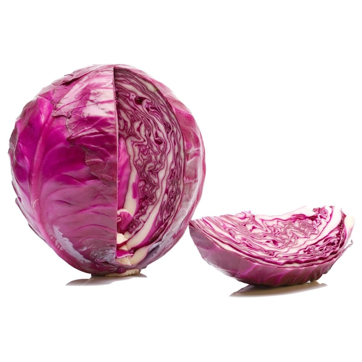 cabbage_red.jpg