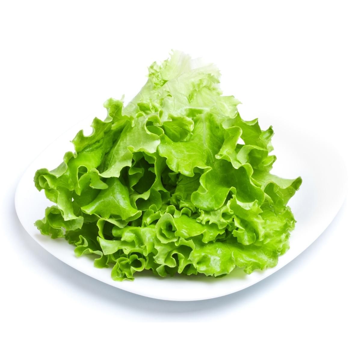 lettuce green.jpg
