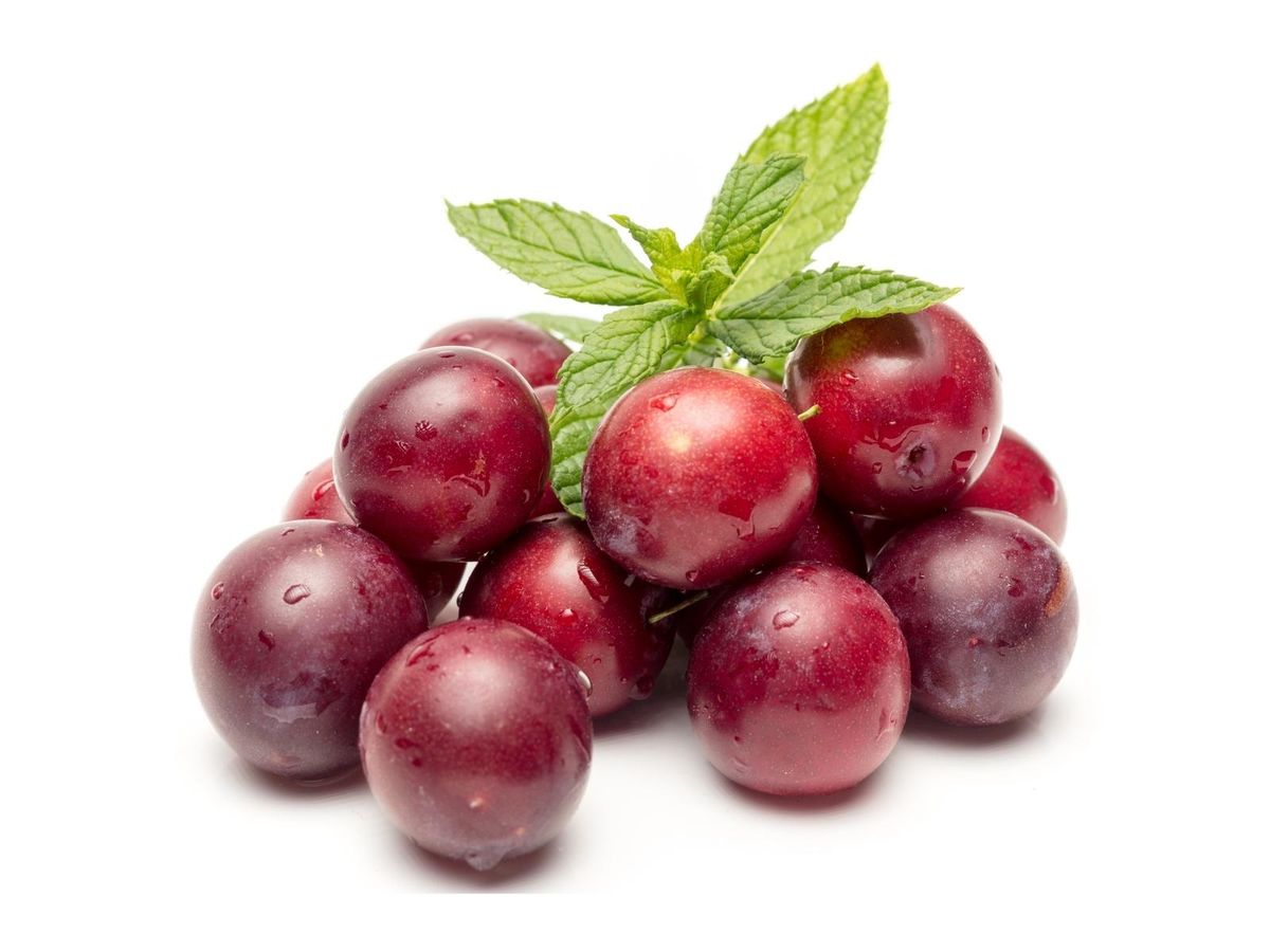 plum_indian.jpg