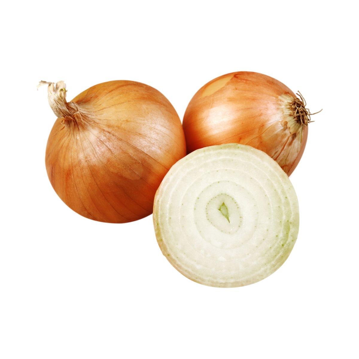 onion.jpg
