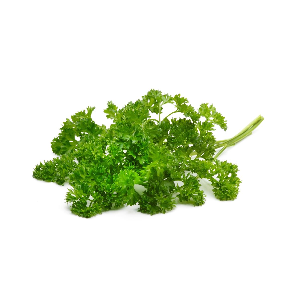parsley.jpg