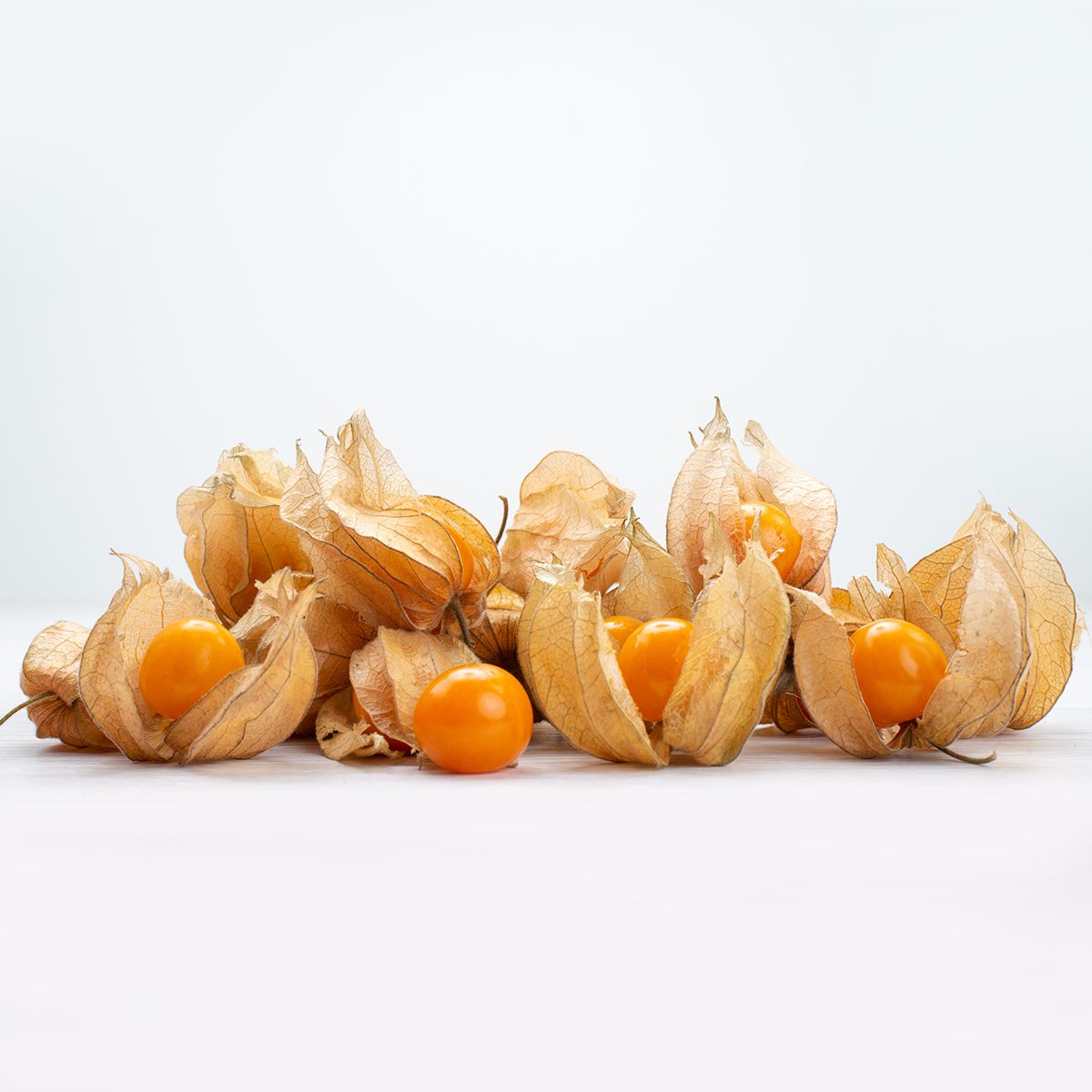 Gooseberry Physalis