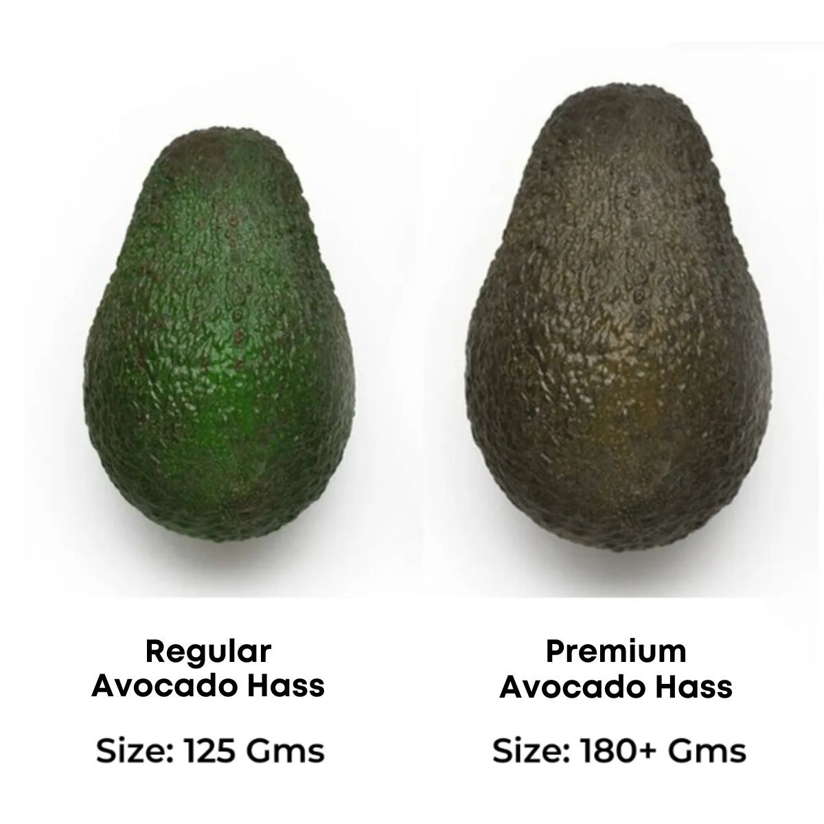 Avocado Hass [Imported]