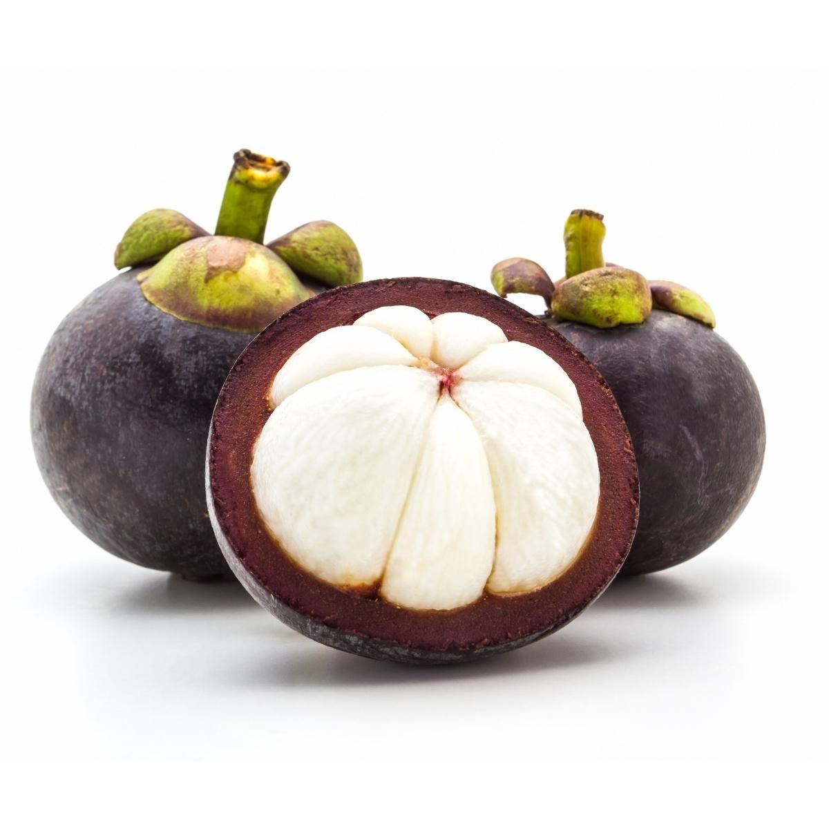 mangosteen_web.jpg