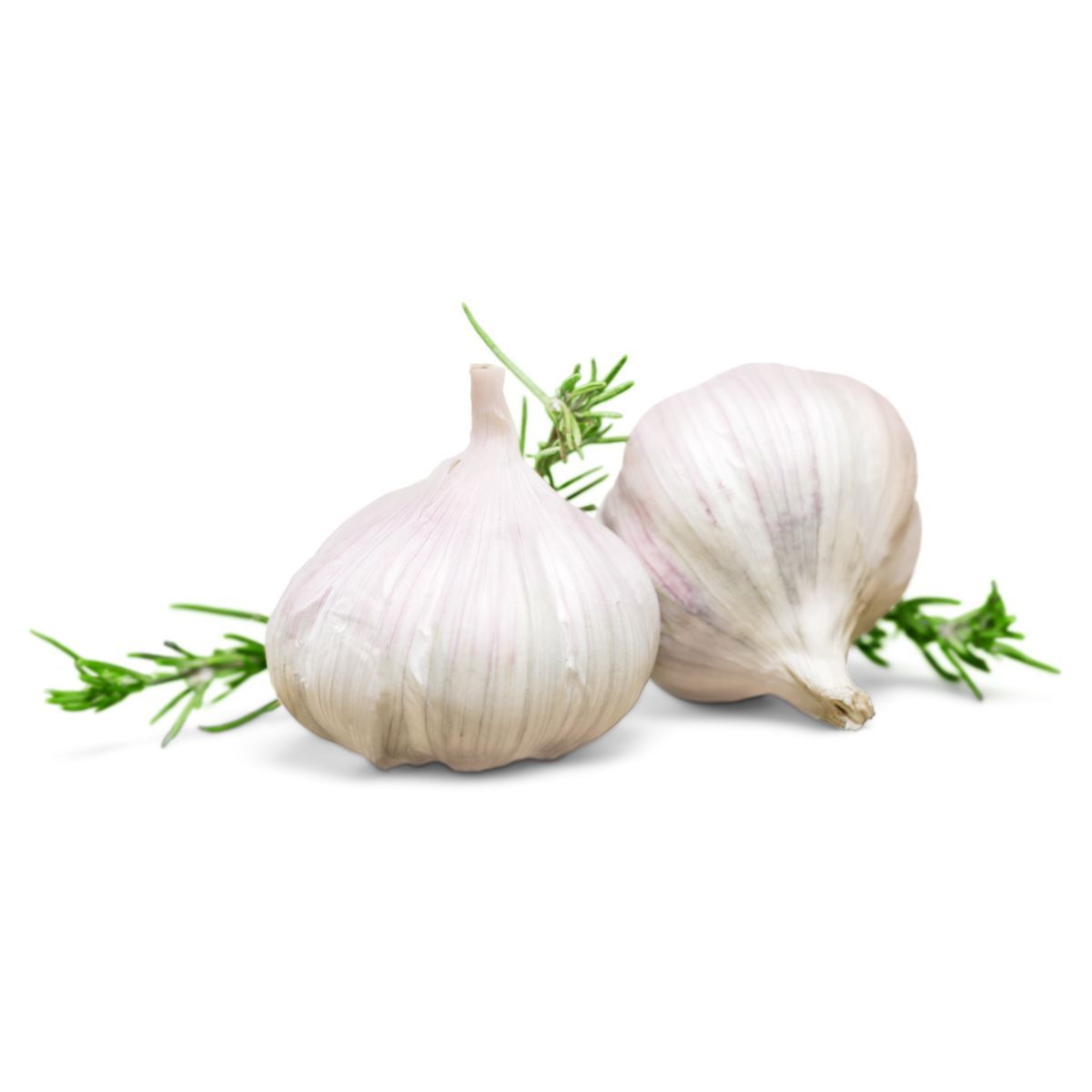 garlic_organic_app