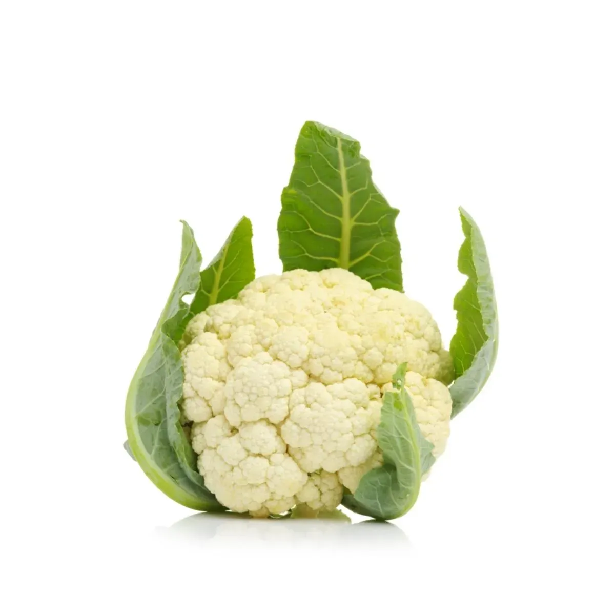 cauli_org_app.jpg