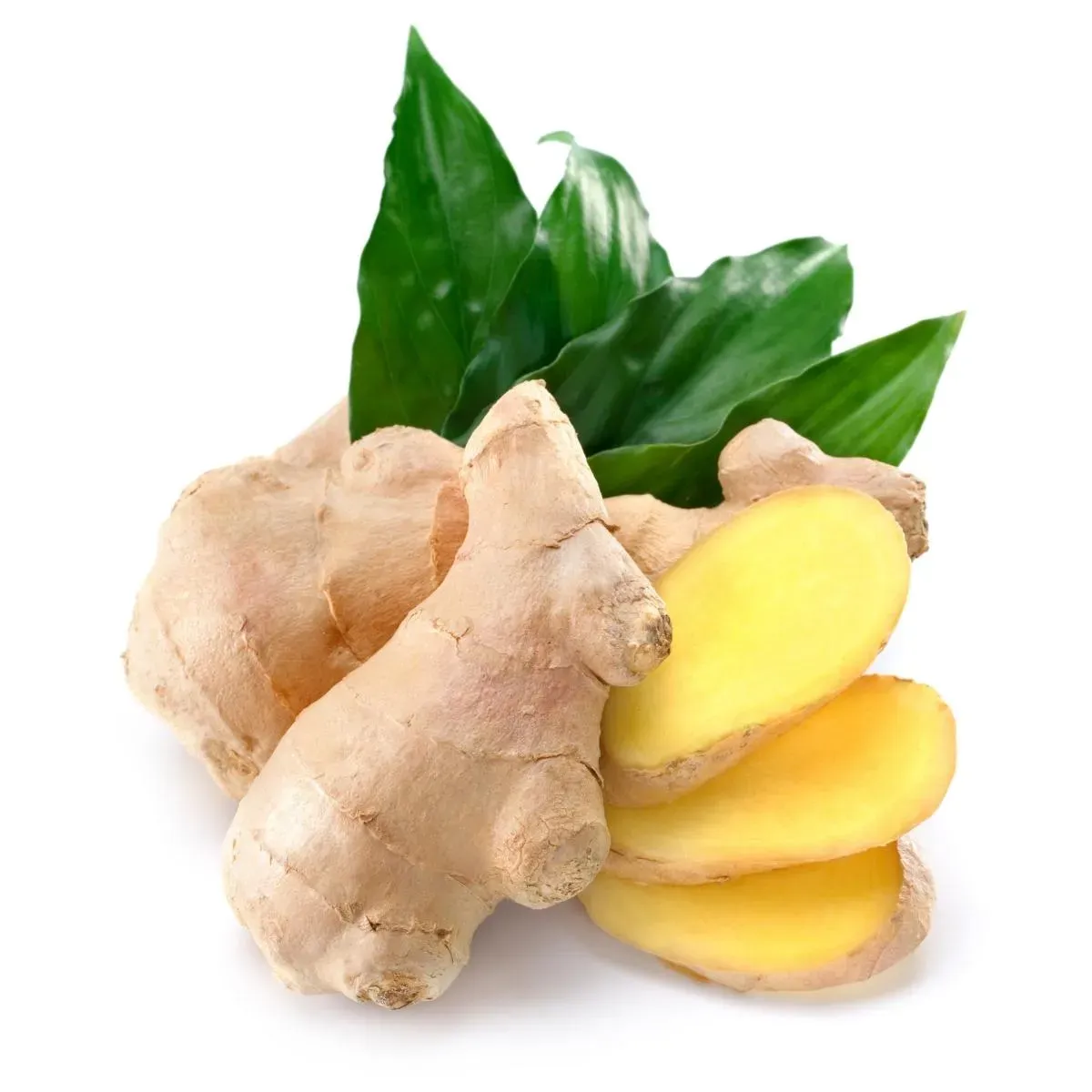 ginger_organic_app