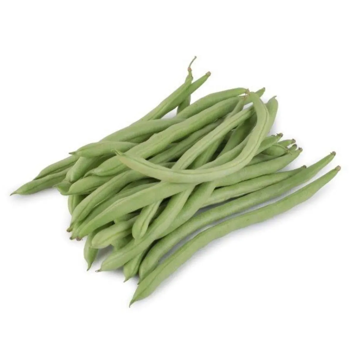 beans_french.jpg