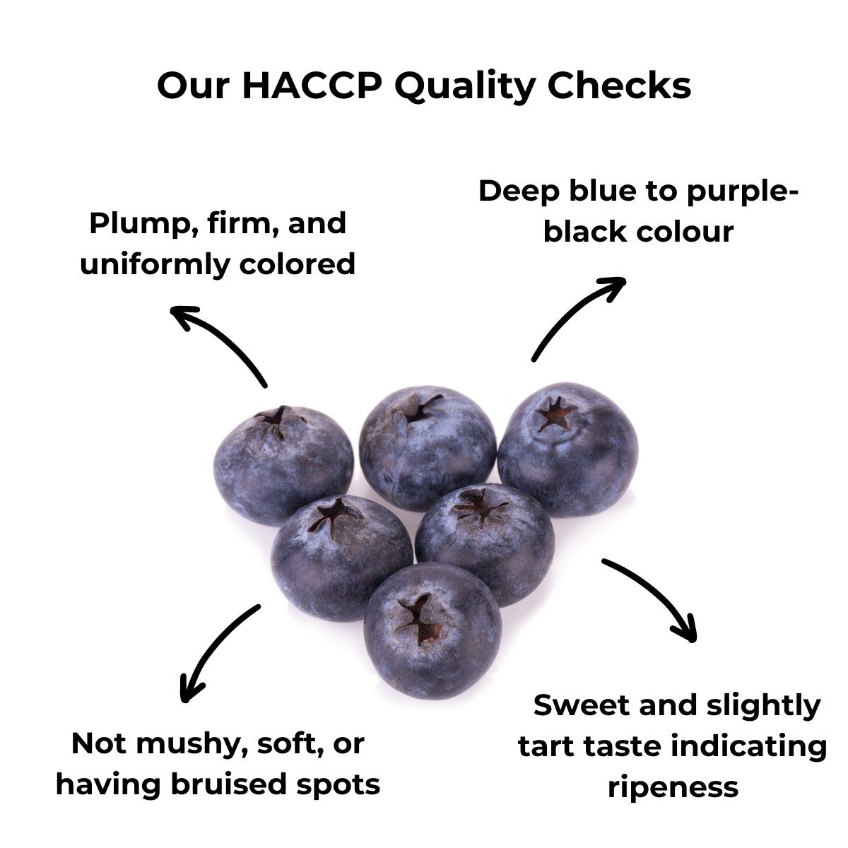 Buy Blueberry Online From Pluckk Heart Friendly Fruits buy-blueberry-online-from-pluckk-heart-friendly-fruits
