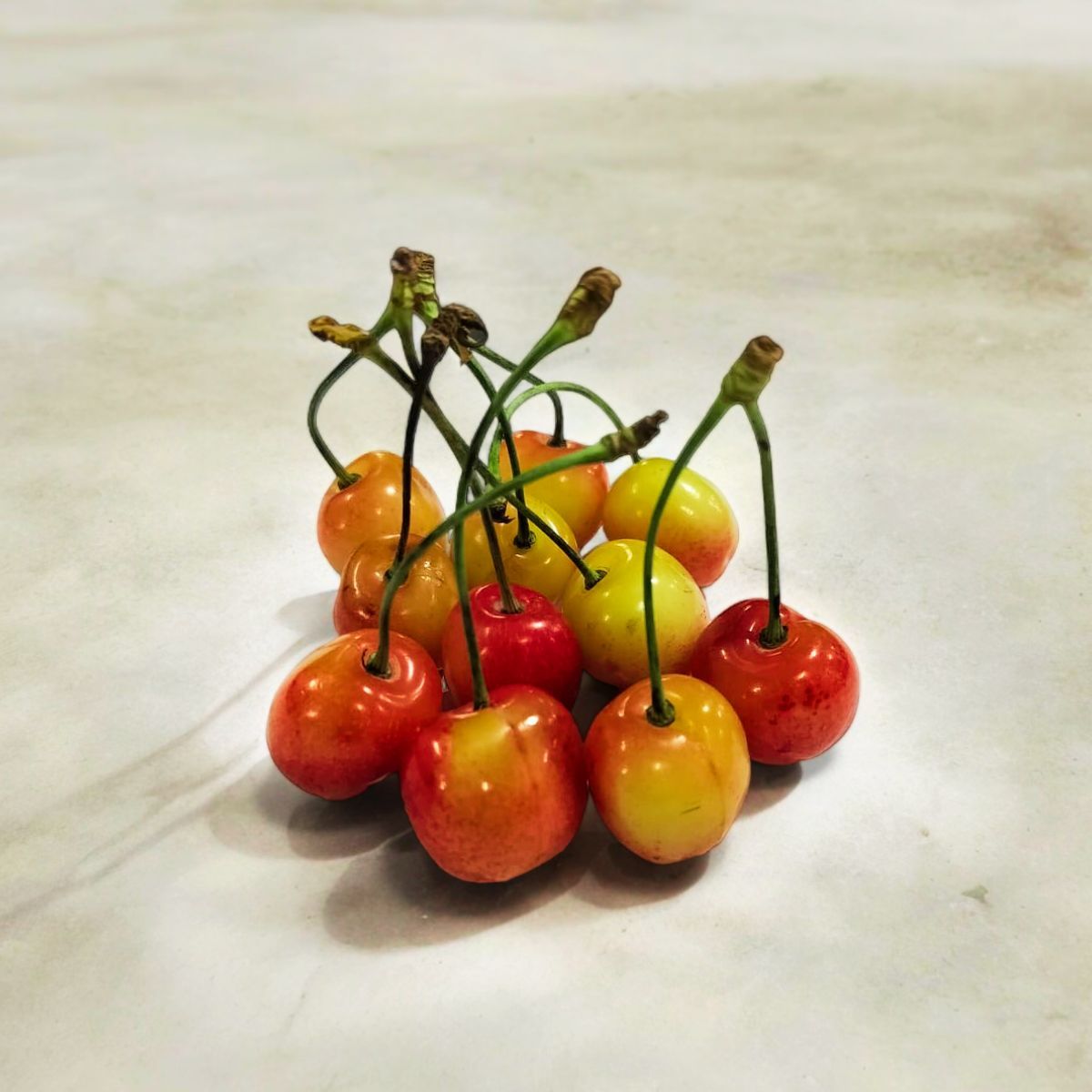 cherry_ind_app.jpg
