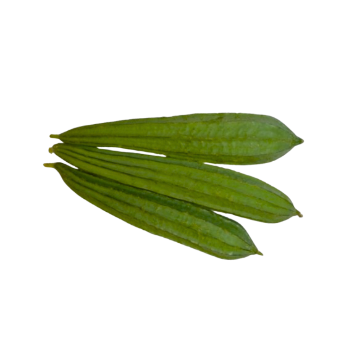 ridge_gourd.jpg