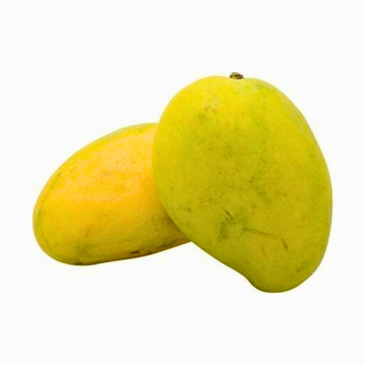 chausa_app.jpg