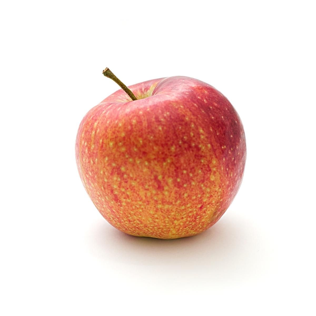 apple.shimla.jpg
