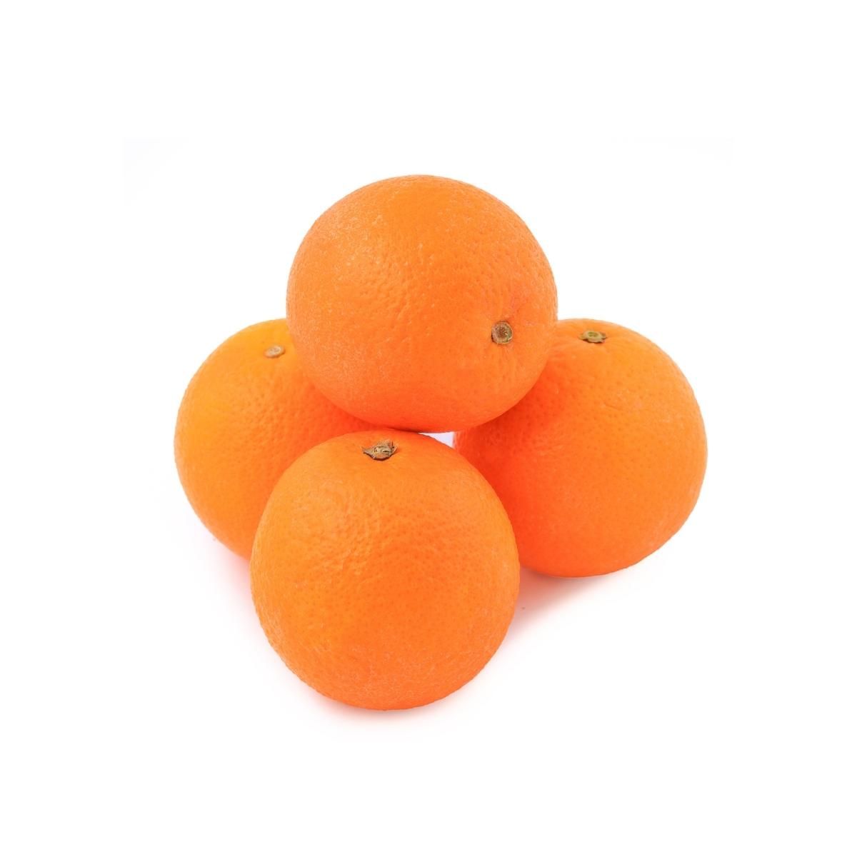 Orange Valencia [Imported]