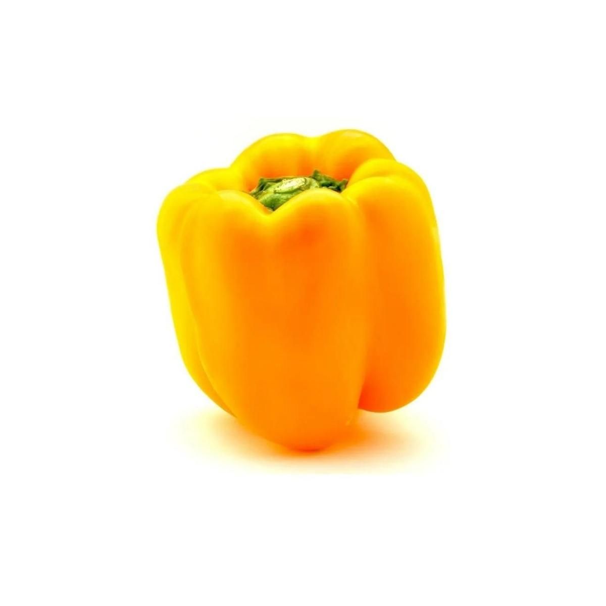Capsicum Yellow