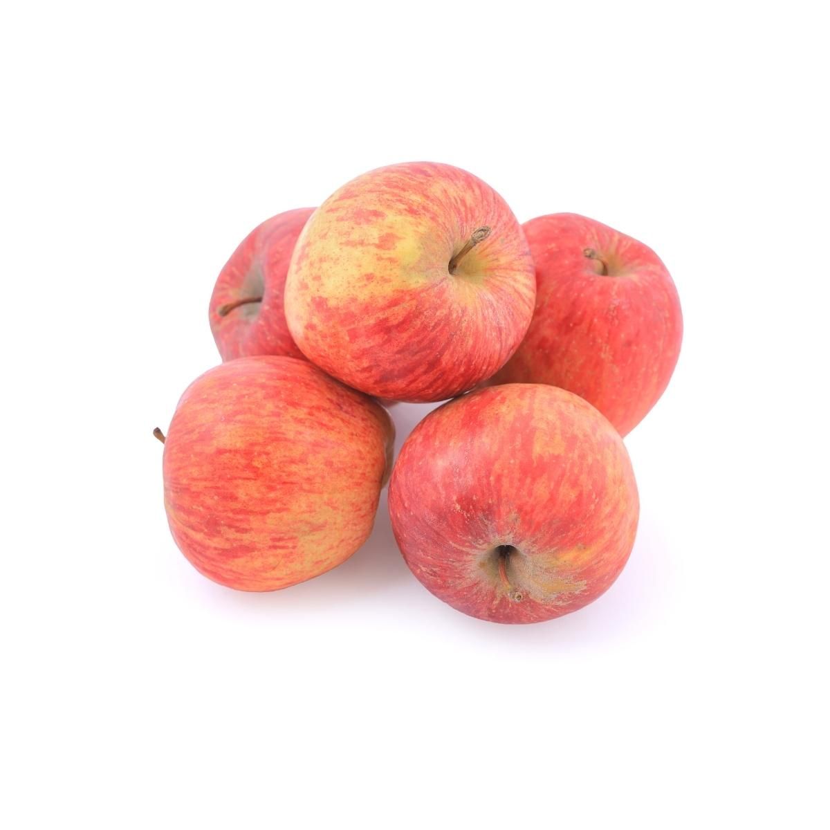 Apple Shimla