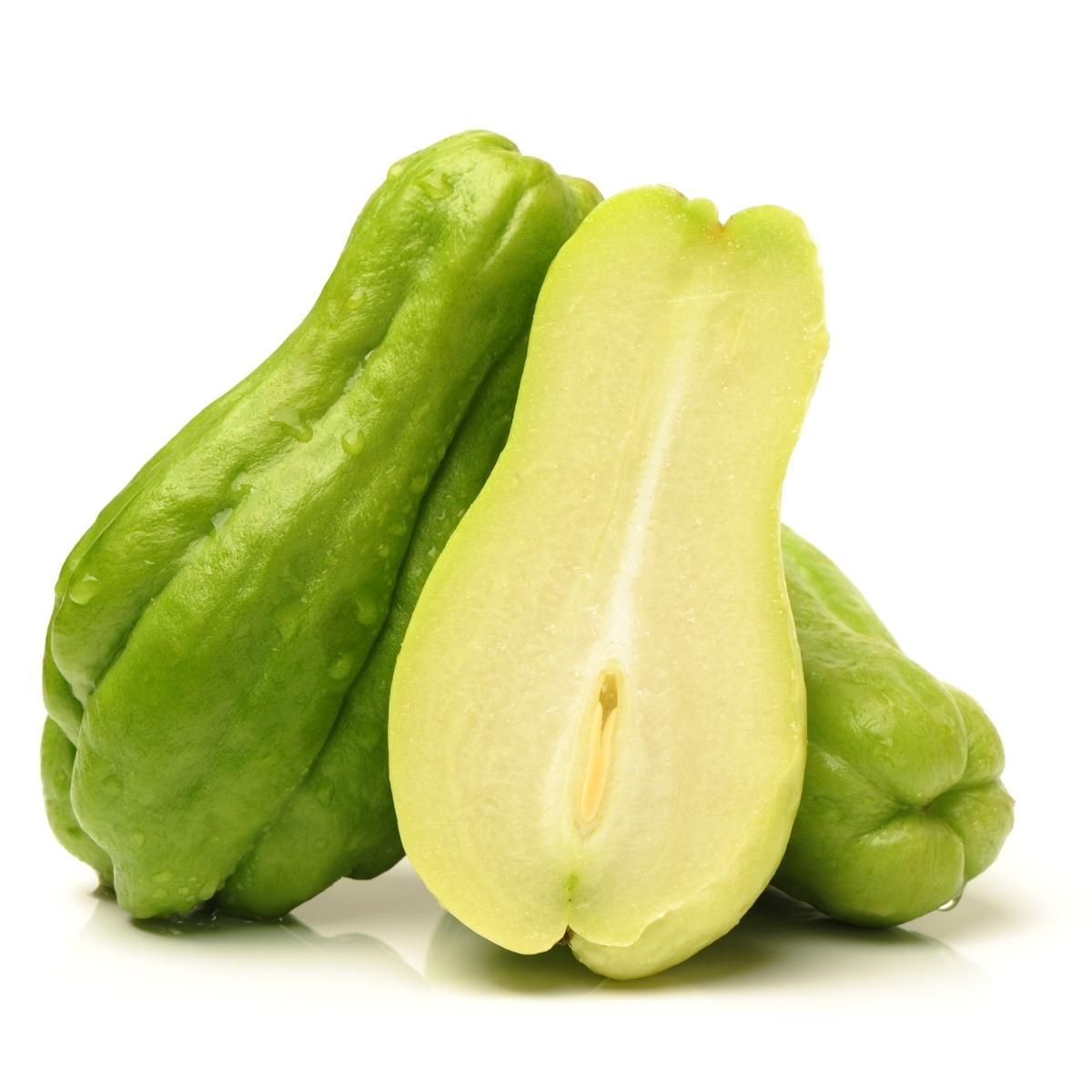 chow_chow.jpg