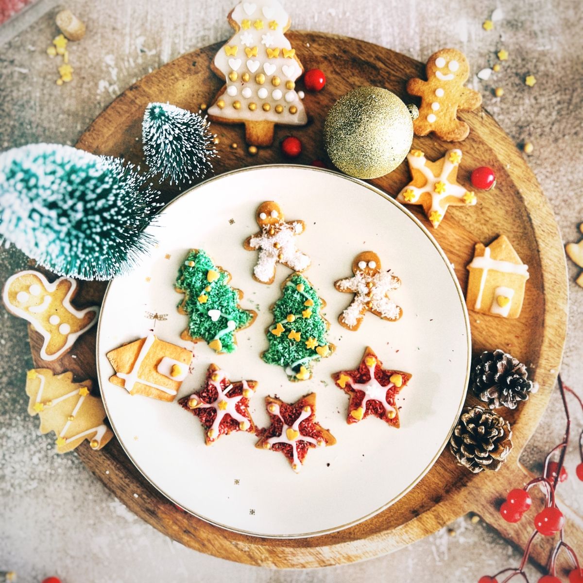 Christmas Cookie Decorating Kit