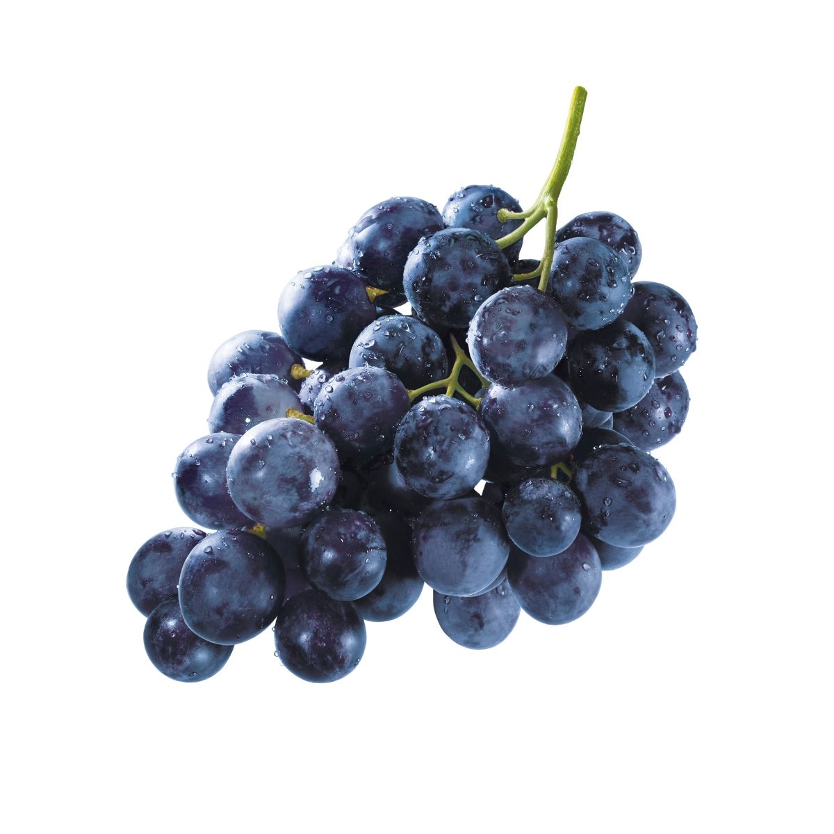 grapes banaglore blue.jpg