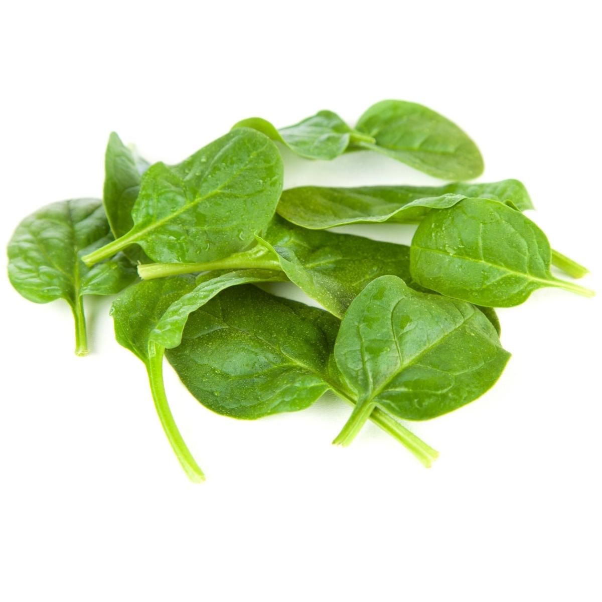 hydroponic_baby_spinach.jpg