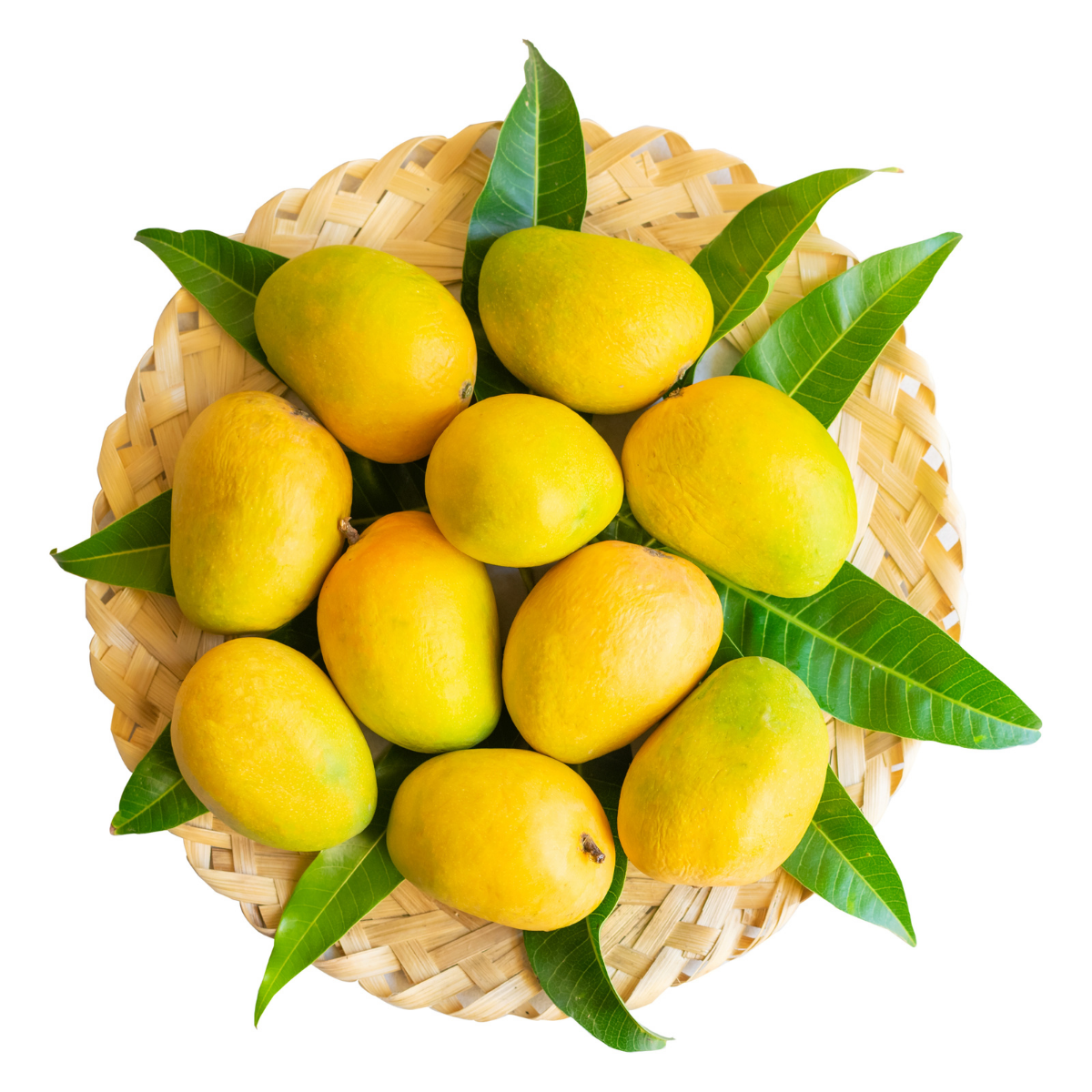 mango_new_app.jpg