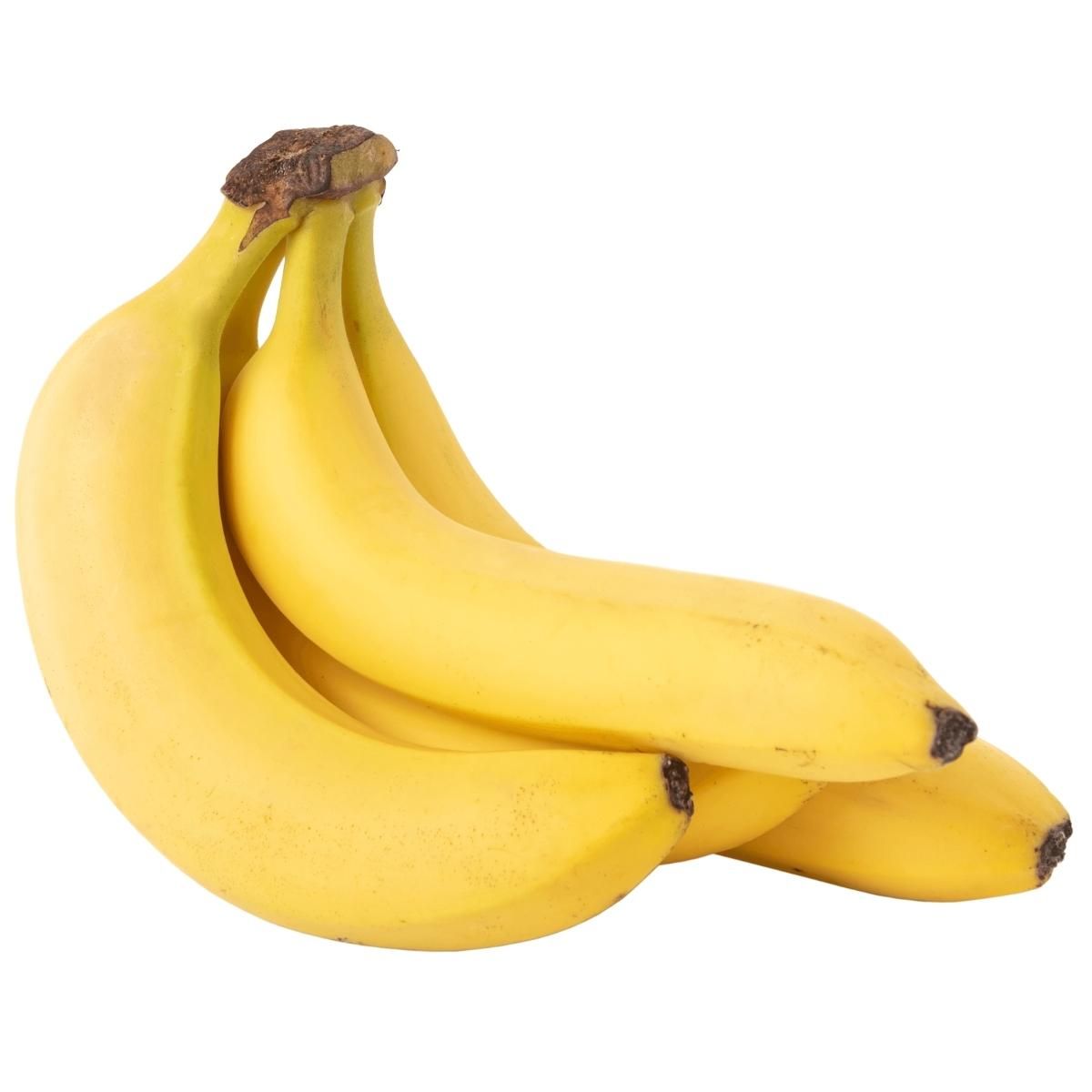banana_robusta.jpg