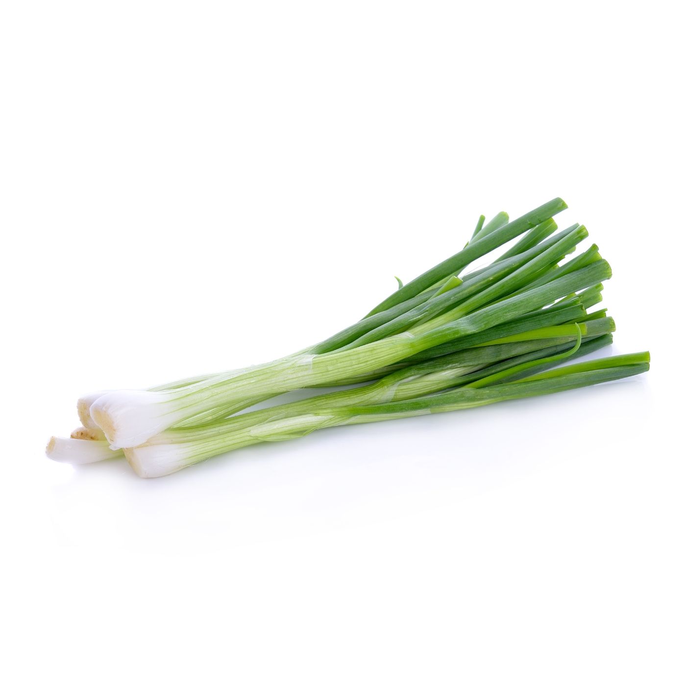 spring onion.jpg