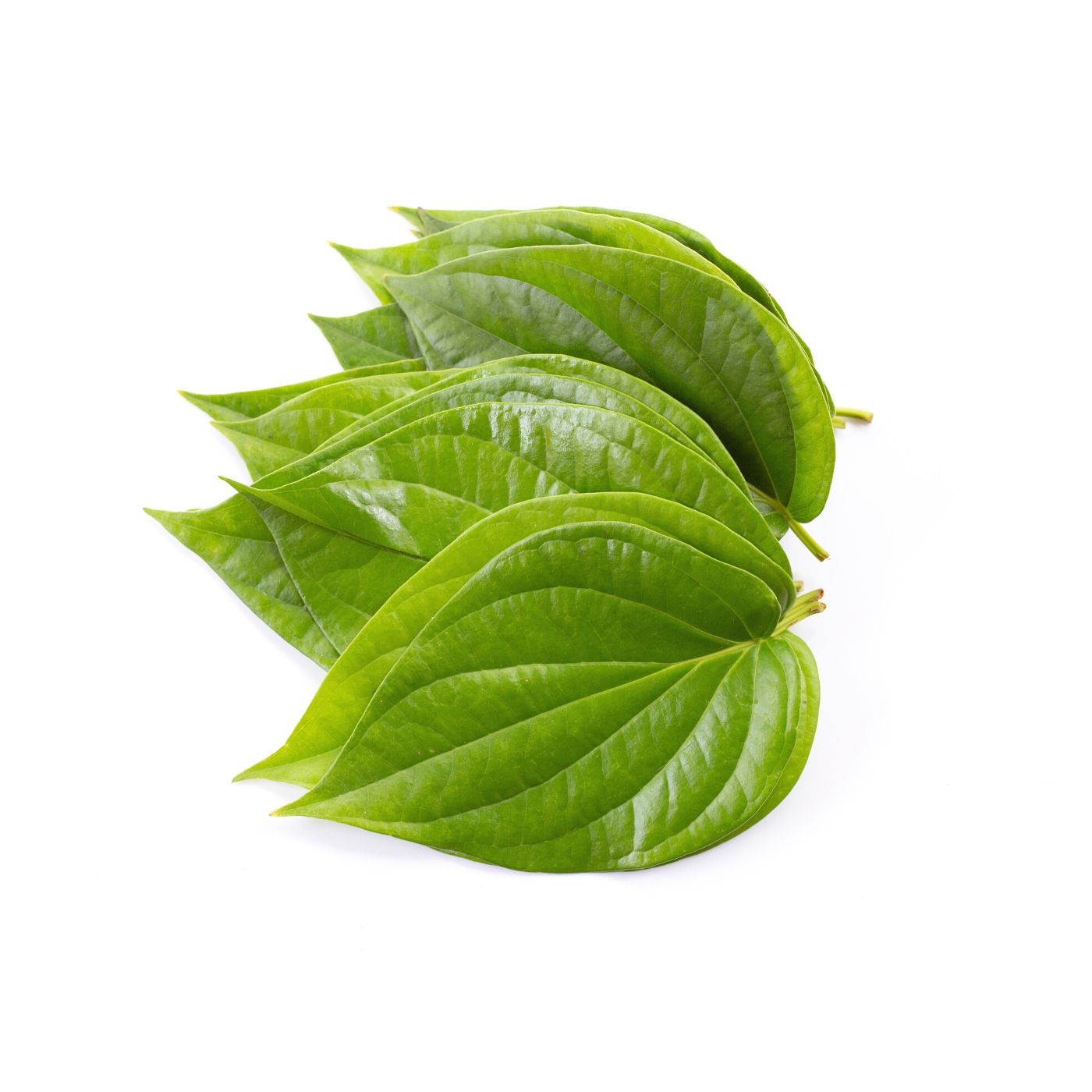 betel leaves.jpg