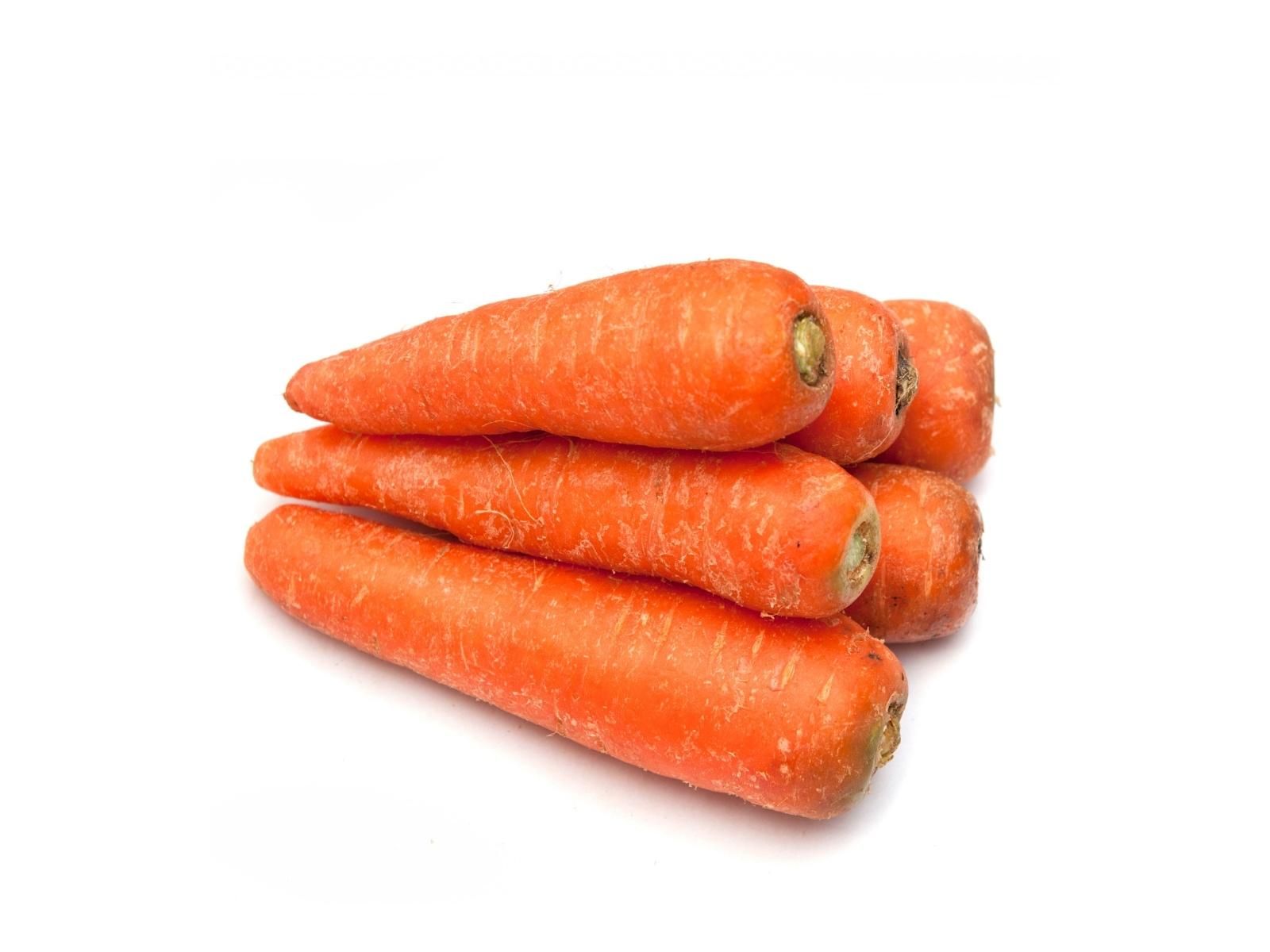 carrot_ooty1