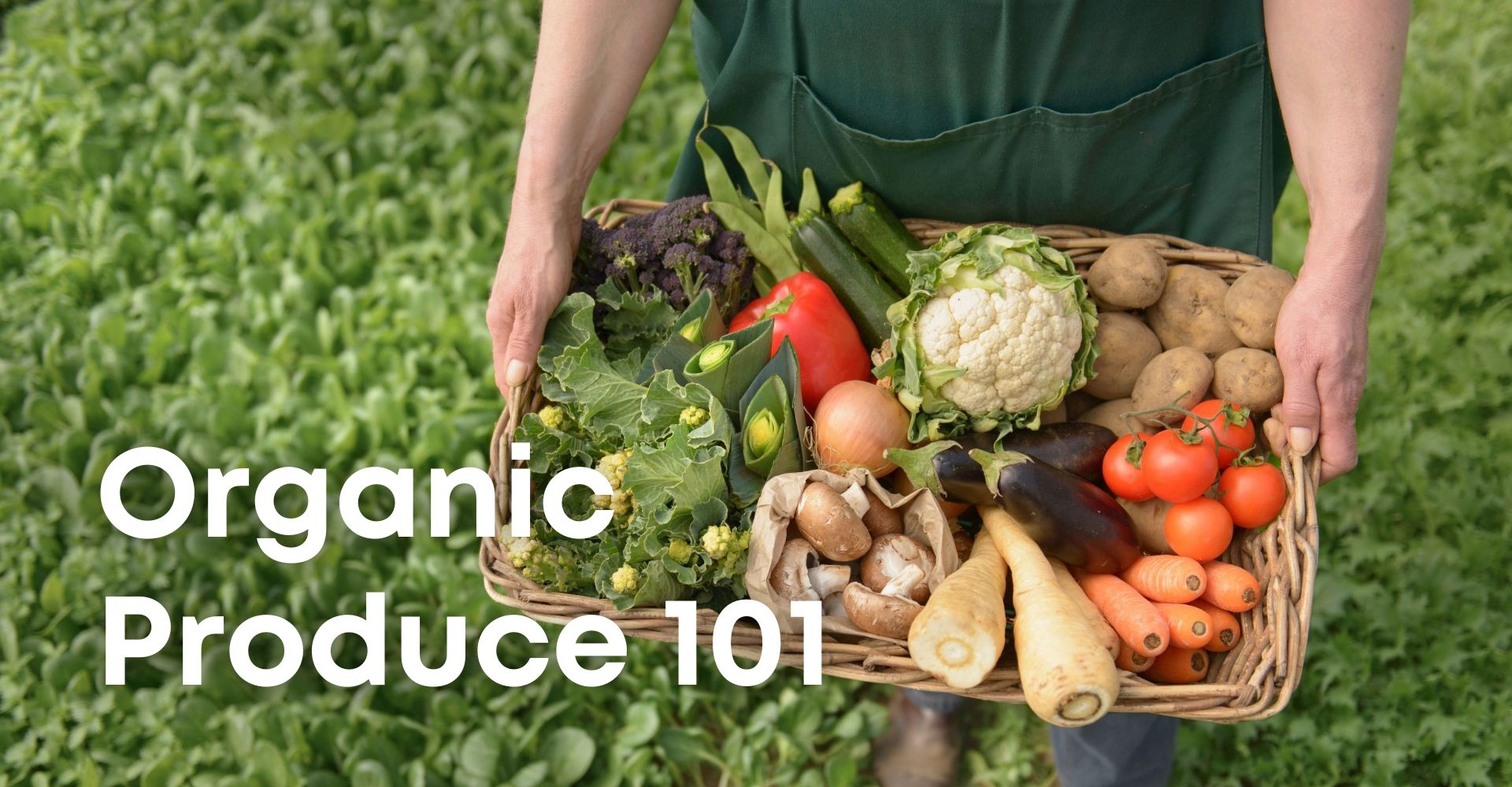 Organic Produce 101