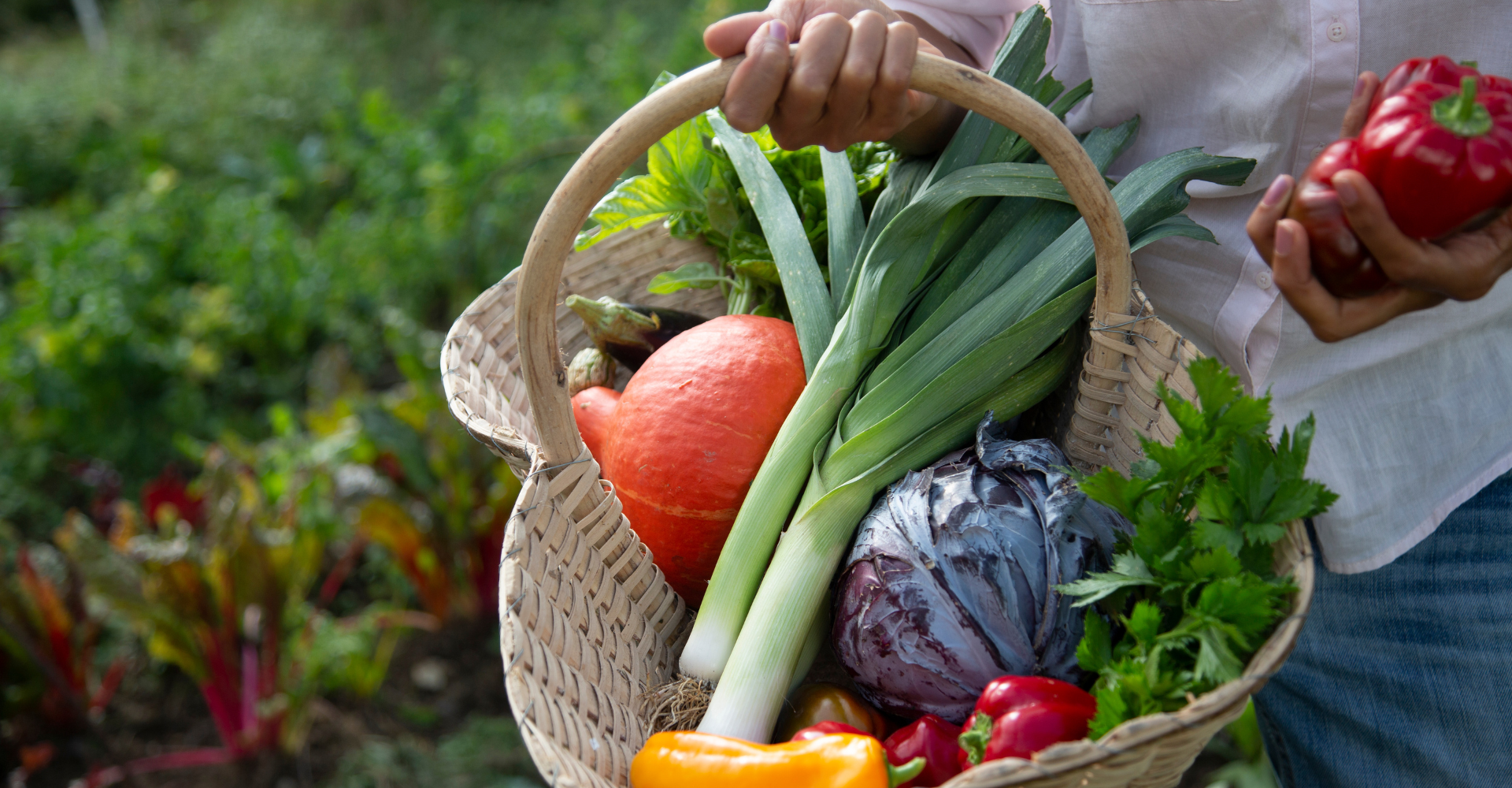 Top 15 Fruits & Vegetable for Healthy Skin