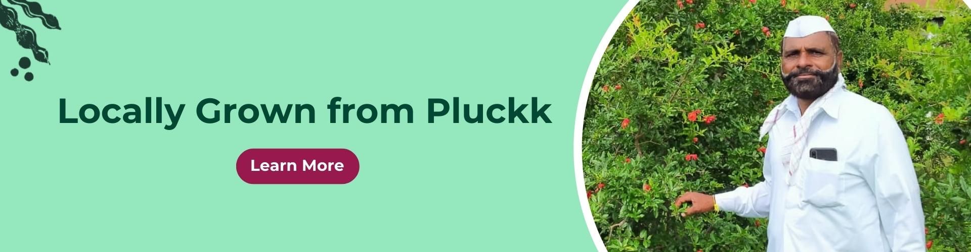 Grown from Pluckk
