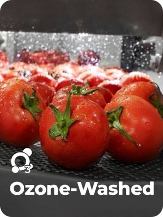 Ozone Washed