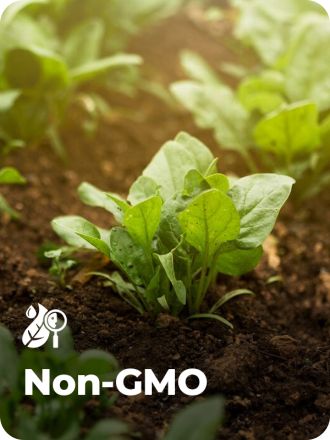 Non GMO
