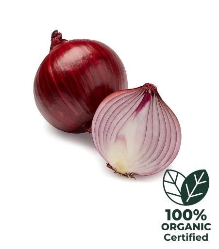 onion_organic_app