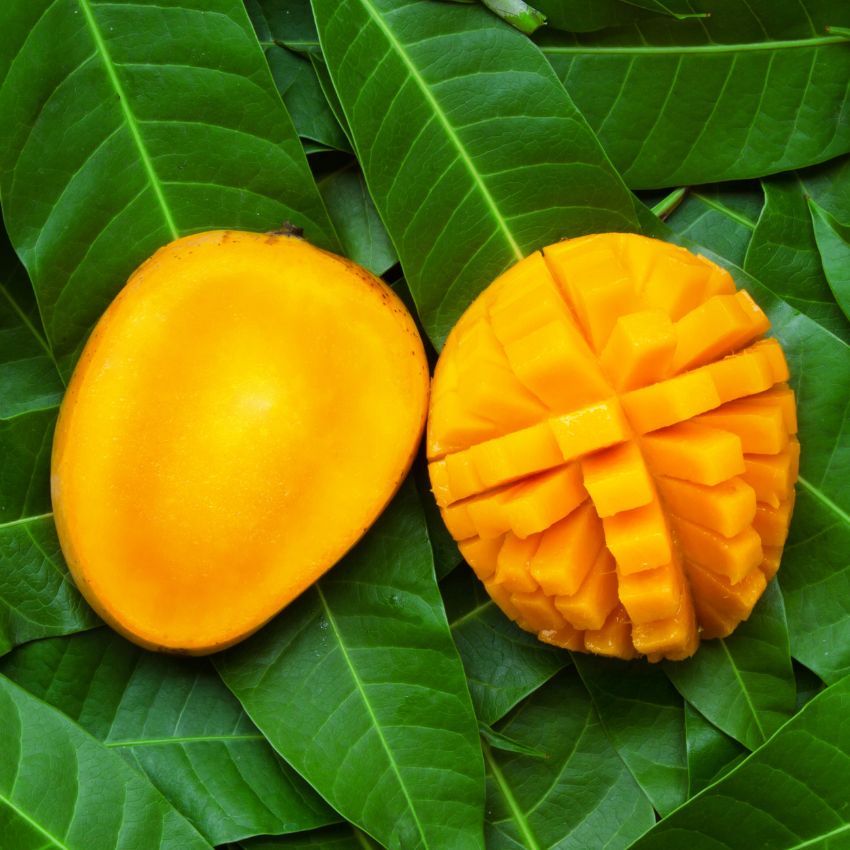 Mangoes