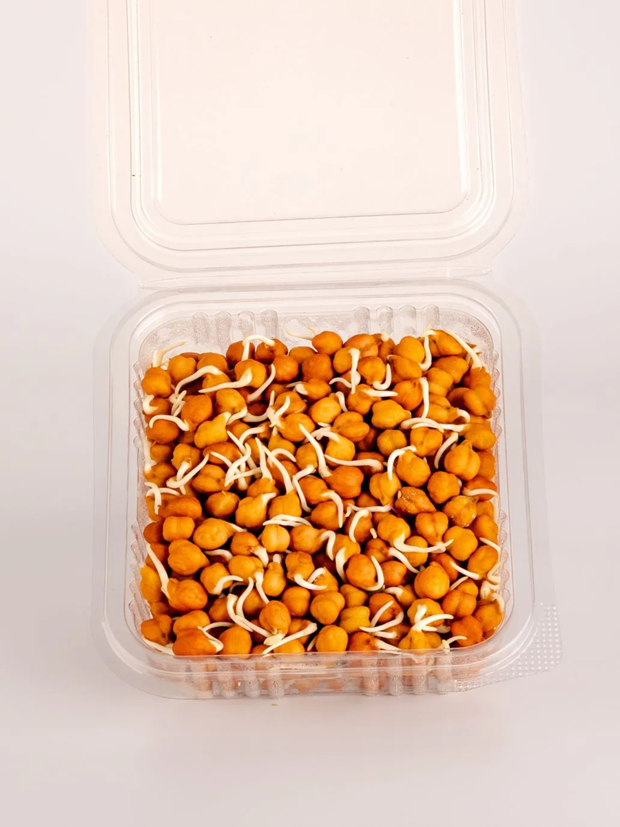 Brown Channa Sproutsimg 2
